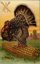 Turkey Standing on an Ear of Corn Turkeys Postcard Postcard