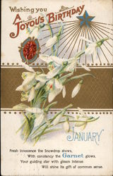 Wishing You a Joyous Birthday Postcard