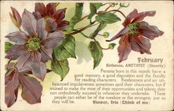 February Postcard