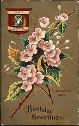 May Birthday - Emerald and Hawthorne Postcard
