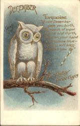 December Birthday Greetings with Snowy Owl on Branch Postcard
