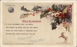 December Birthday - Turquoise and Holly Postcard