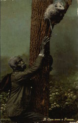 A Coon Trees a Possum Postcard