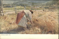 Stella - Woman Harvesting Wheat Postcard