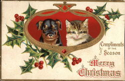Compliments of the Season - Merry Christmas Postcard