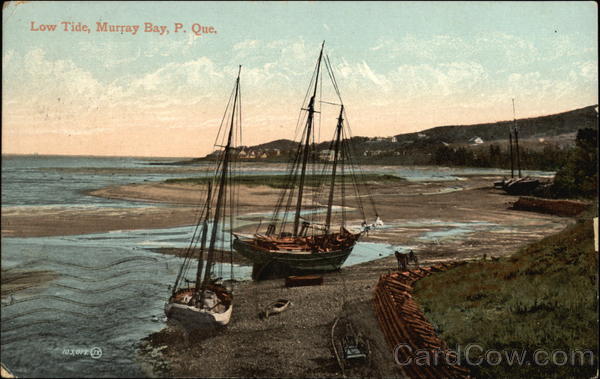 Low Tide Murray Bay QC Canada Quebec