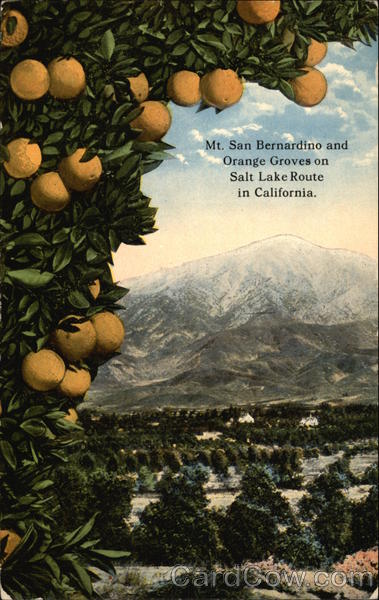 Mt. San Bernardino and Orange Groves on Salt Lake Route in California Redlands