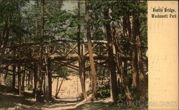 Rustic Bridge, Wachusett Park Princeton Massachusetts