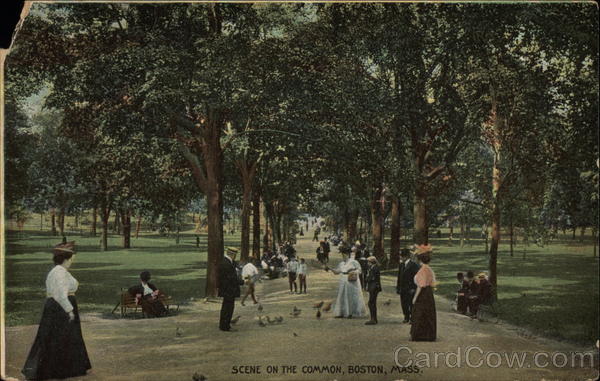 The Common Boston Massachusetts