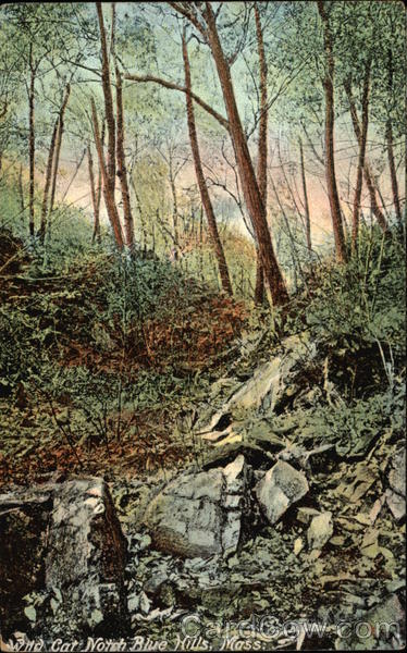 Wild Cat Notch, Blue Hills Massachusetts