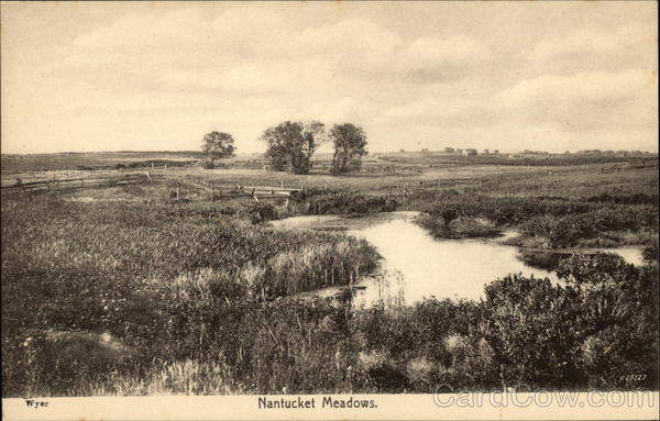 Nantucket Meadows Massachusetts