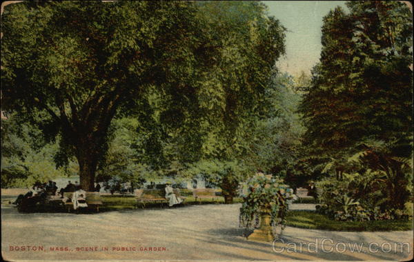 Scene in Public Garden Boston Massachusetts