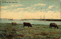 Bay Scene Postcard