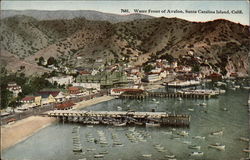Water Front of Town, Santa Catalina Island Avalon, CA Postcard Postcard