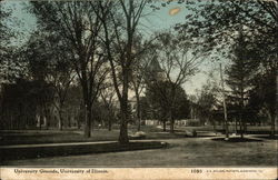 University of Illinois - Grounds Champaign, IL Postcard Postcard