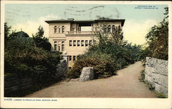 Library in Franklin Park Postcard