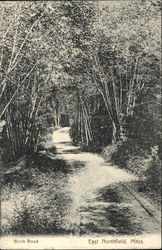 Birch Road Postcard