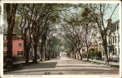 Chestnut Street Salem, MA Postcard Postcard