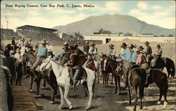 Steer Roping Contest, Cow Boy Park Postcard