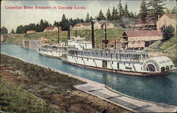 Columbia River Steamers in Cascade Locks Postcard