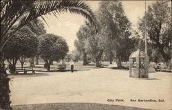 City Park San Bernardino, CA Postcard Postcard