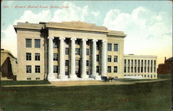 Harvard Medical School Postcard
