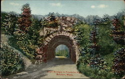 Arch Bridge in Franklin Park Postcard