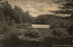 Red Spring Cove, Lake Pearl Postcard