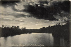 Duck Pond and Bridge, Franklin Park Postcard