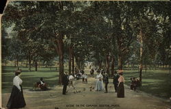 The Common Postcard
