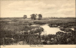Nantucket Meadows Postcard