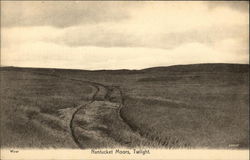 Nantucket Moors - Twilight Massachusetts Postcard Postcard