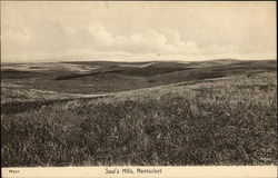 Saul's Hills Saul's Hills