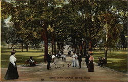 Scene on the Common Postcard