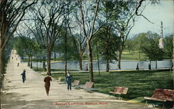 Boston Common Postcard