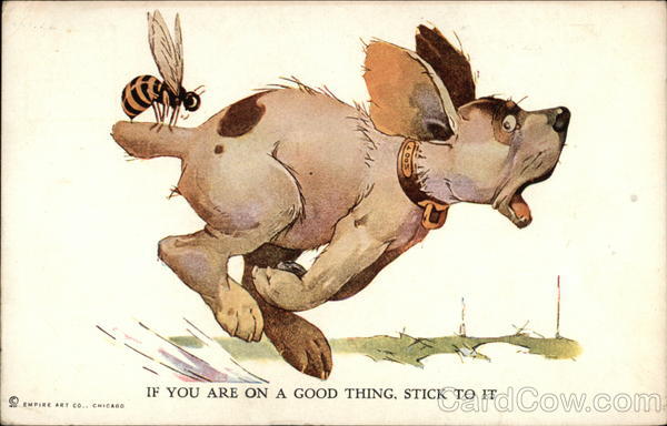 If You Are On a Good Thing, Stick To It Dogs