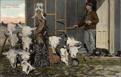 Cattle Skulls, Man with Binoculars, and Dog Postcard