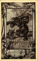 The Chimpanzee Postcard