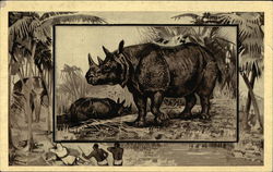 The Rhinoceros Postcard