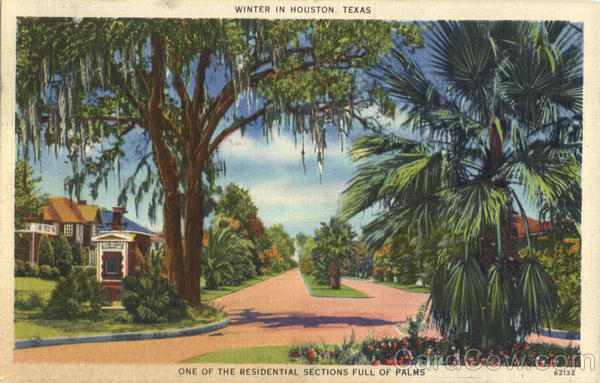 Winter In Huston Houston Texas