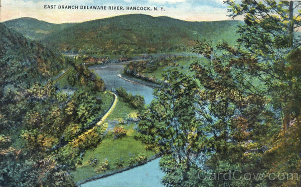 East Branch Delaware River Hancock New York