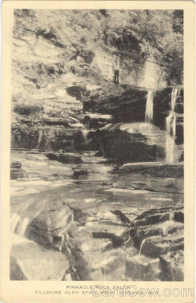 Pinnacle Roack Falls, Filmore Glen State Park Moravia New York