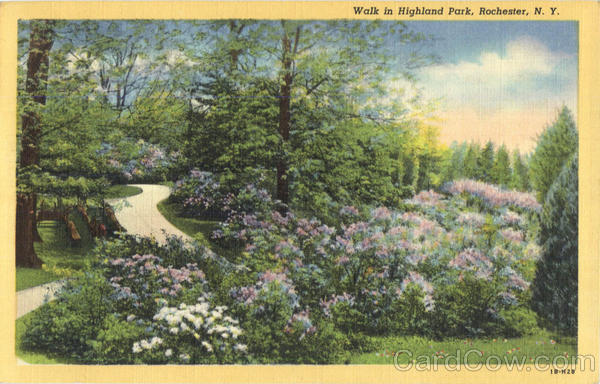 Walk In Highland Park Rochester New York