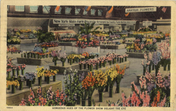 Gorgeous Hues Of The Flower Show Delight The Eye Scenic New York
