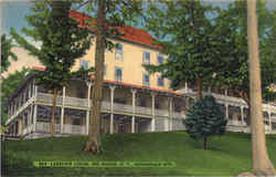 Lakeview Lodge Big Moose, NY Postcard Postcard