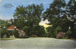 Entrance To Irvine Park Postcard