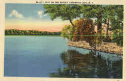 Cazenovia Lake Beauty Spot On The Outlet New York Postcard Postcard