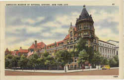 American Museum Of Natural History Postcard