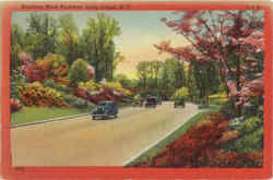 Southern State Parkway, 1C Long Island, NY Postcard Postcard