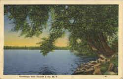 Greetings From Oneida Lake Postcard
